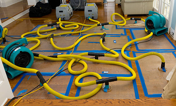 Professional Structural Drying And Dehumidification technician working in Morris, IL